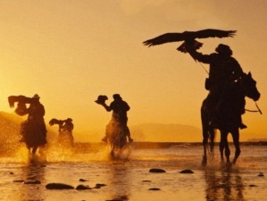 ��Ӱ�����ж�Ƭ����Fly with Dance���Ͻ����С�