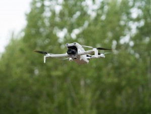 ��DJI Lito X1/Lito 1���˻�����