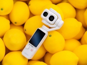 DJI Osmo Pocket 4P������ɫ