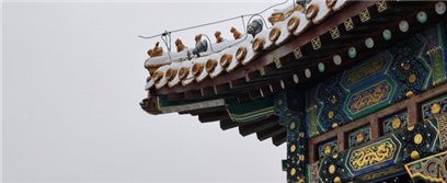 vivo S18ʵ������