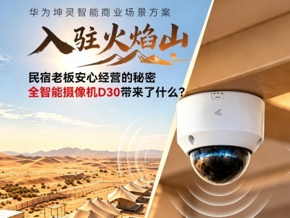 �����ϰ尲�ľ�Ӫ�����ܣ�ȫ���������D30������ʲô��
